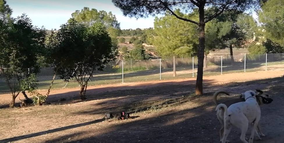 Nueva área para perros en la Estació del Nord de Barcelona