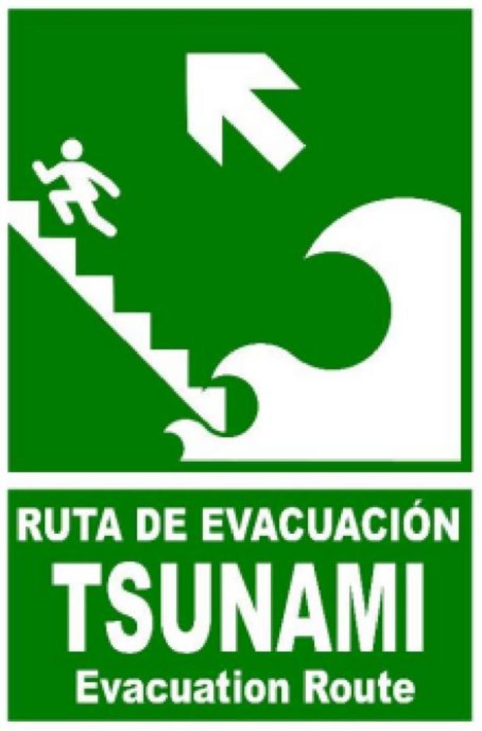 ctv-w46-tsunami-7