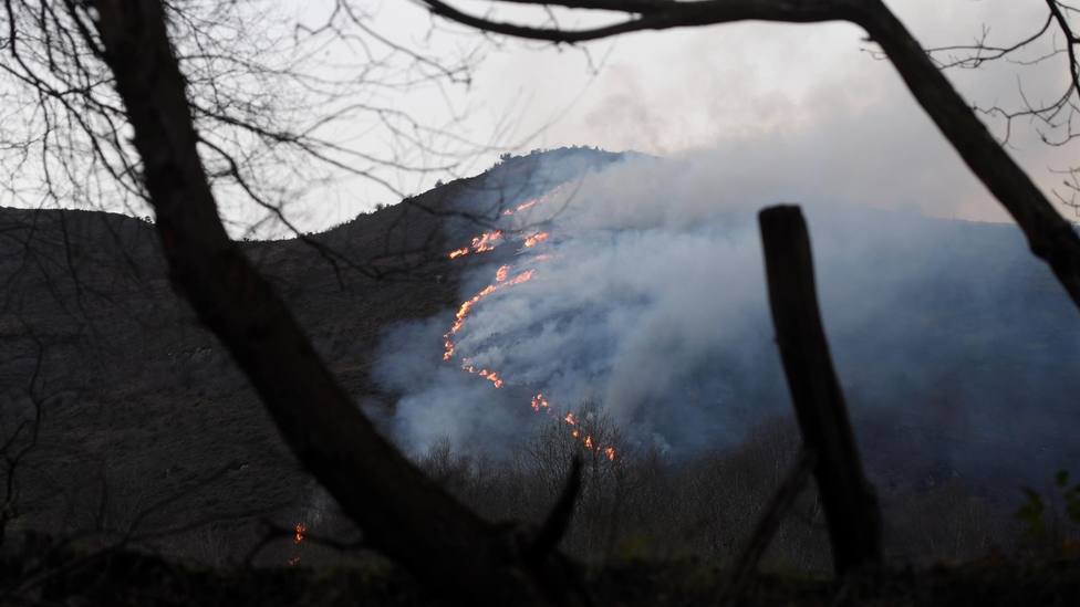 Incendio forestal en Asturias (Archivo)
