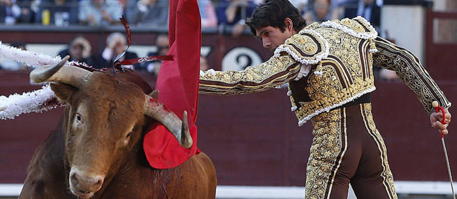 Sebastián Castella toreando a Jabatillo, el toro de Alcurrucén premiado con la vuelta al ruedo. EFE