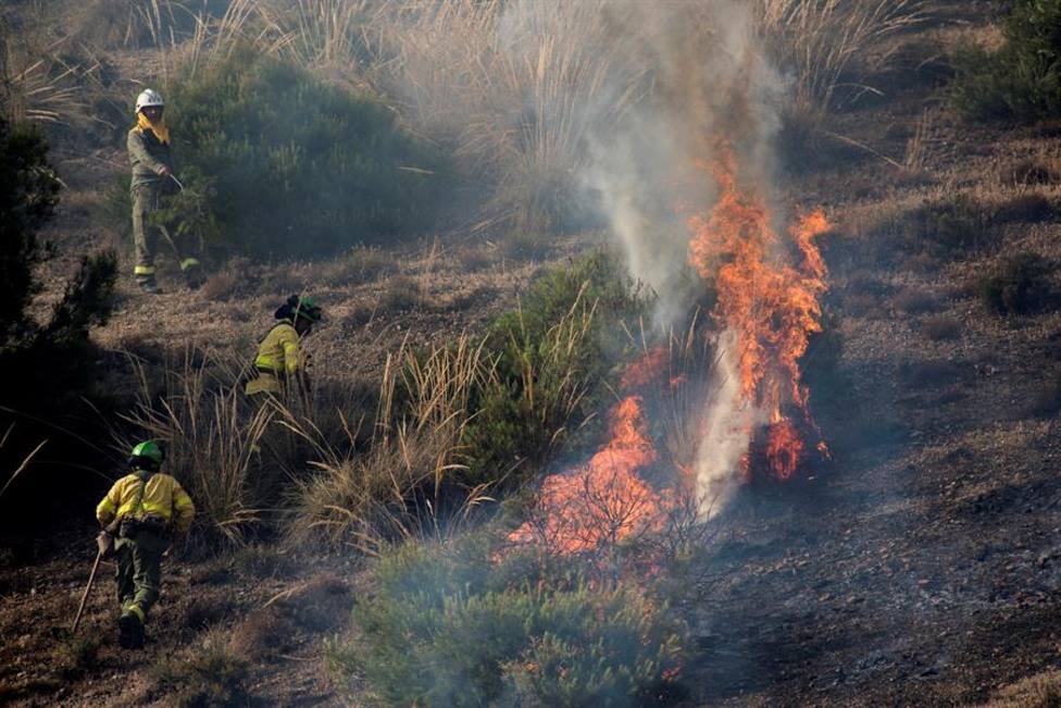 Controlado el incendio forestal declarado en el paraje del Sacromonte de Granada