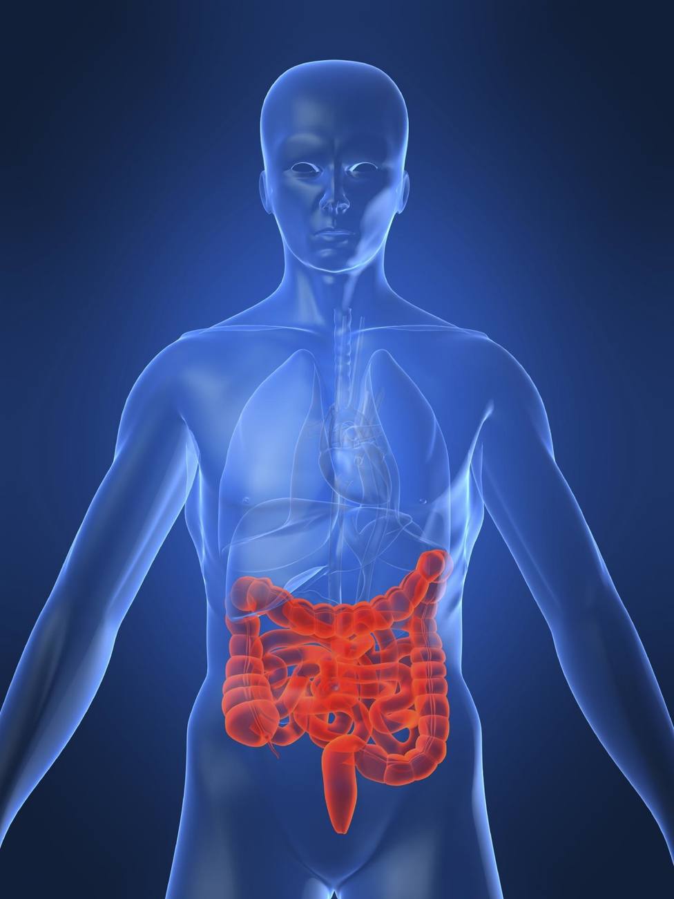 Investigadores identifican un posible objetivo de tratamiento para la enfermedad de Crohn