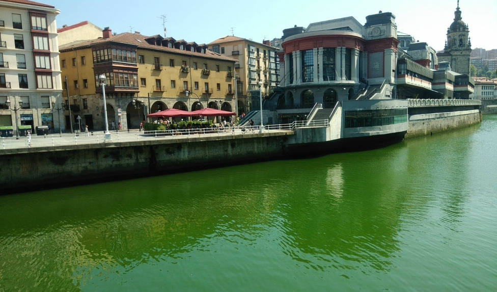 Tiñen de verde la Ría de Bilbao como protesta contra la cumbre del G-7