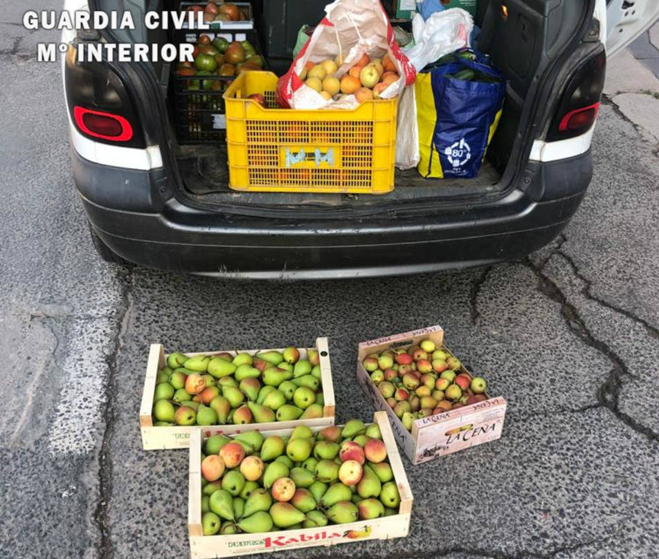 La Guardia Civil incauta en Lodosa fruta y verdura de origen desconocido con destino a fruterías de Logroño