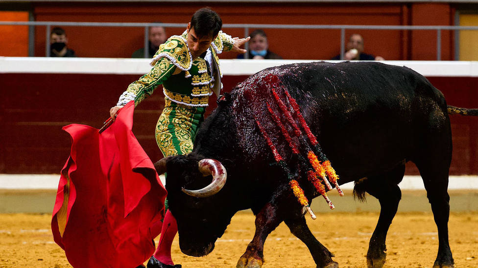 Gómez del Pilar durante la faena a su primer toro de Miura, al que cortó una oreja