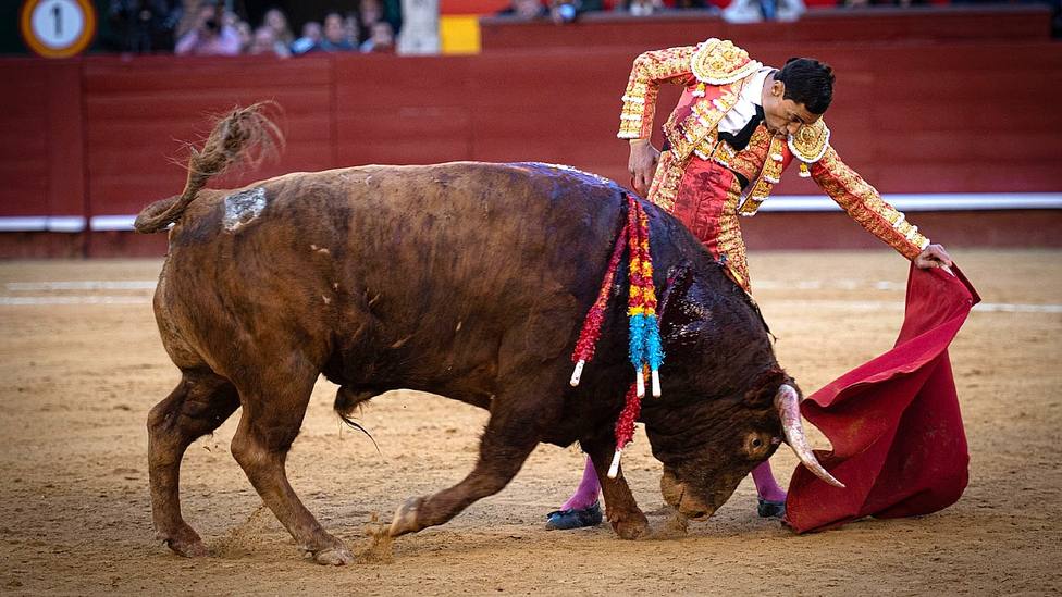 Natural de Paco Ureña al quinto toro de Montalvo este martes en Valencia
