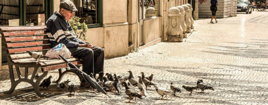 Anciano dando de comer a unas palomas. Foto archivo