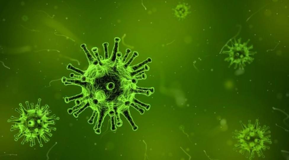 Menorca suma un nuevo positivo con coronavirus en las últimas 24 horas