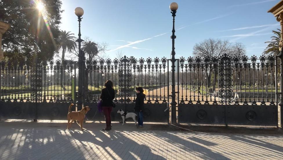 Barcelona cierra de manera preventiva los parques por el temporal de viento