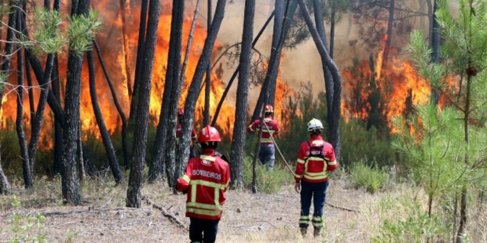 El gran incendio de Portugal está controlado después de 70 horas y arrasar más de 6.000 hectáreas