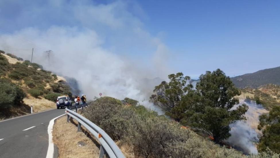 El Cabildo de Gran Canaria prevé estabilizar el incendio de Tejeda en las próximas horas