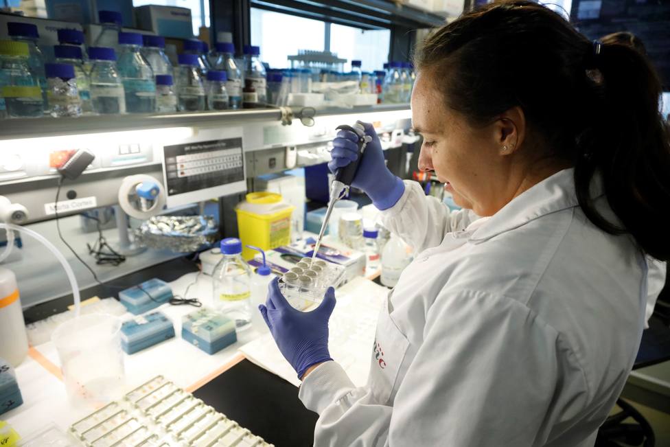 Científicos españoles hallan una nueva mutación en cáncer que puede mejorar su diagnóstico