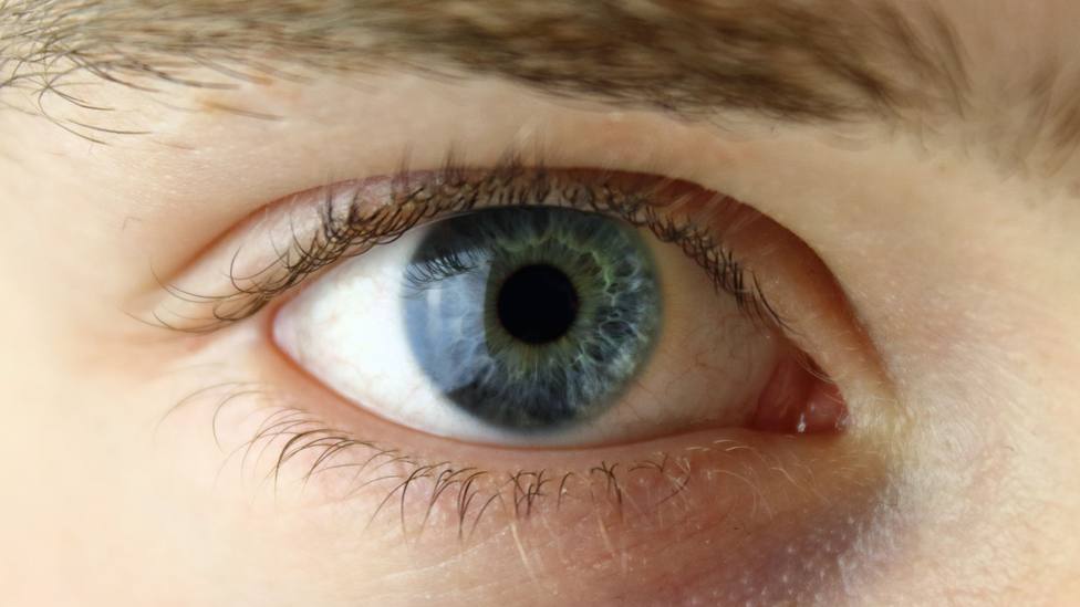 ¿De qué color son tus ojos? Un grupo de científicos descubre cómo podría afectar a tu salud