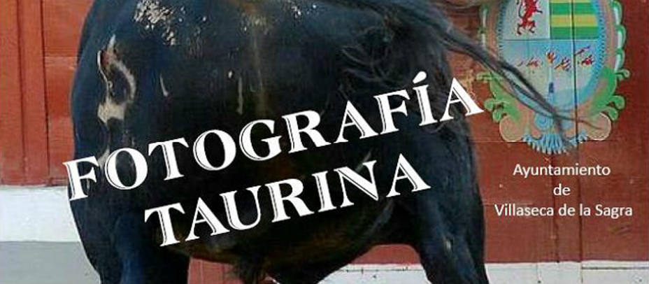 Cartel anunciador del I Concurso de Fotografía Taurina de Villaseca de la Sagra