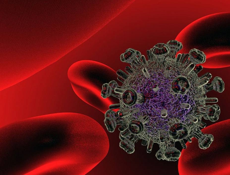 Un estudio encuentra un mecanismo para eliminar el reservorio latente del VIH