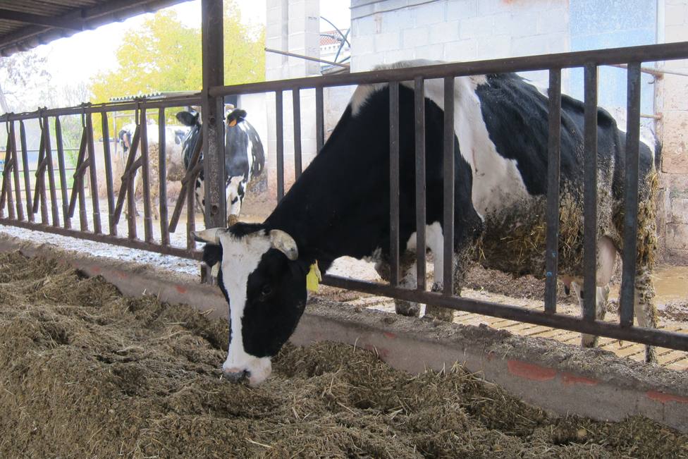 Unión de Uniones critica el impago de la multa de 80 millones de euros de 16 industrias lácteas