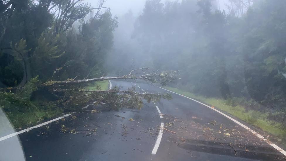 Filomena dejará hoy tormentas, granizo y viento huracanado en Canarias
