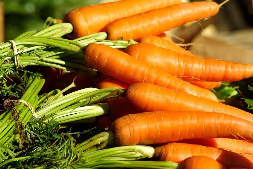 Las zanahorias son un alimento muy nutritivo que podemos tomar en ricos purés, cocidas y hasta crudas