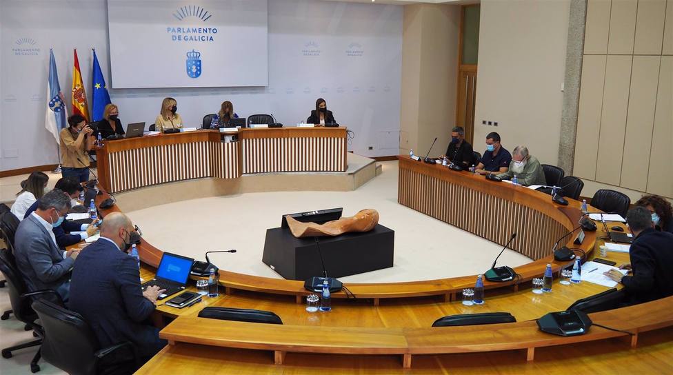 Comisión de Industria en el Parlamento Gallego. FOTO: Europa Press