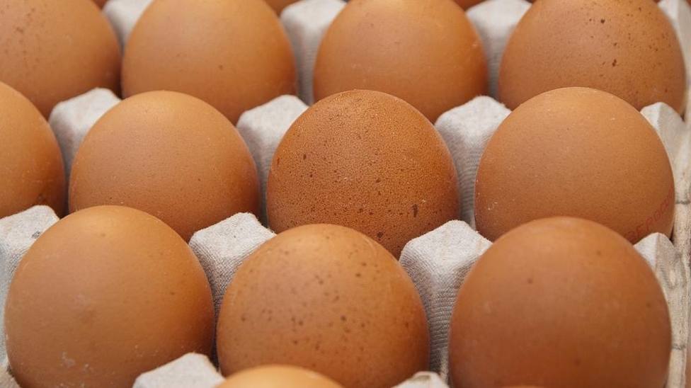 La Comunidad de Madrid recuerda extremar las precauciones con alimentos que contengan huevo para evitar la salmonelosis