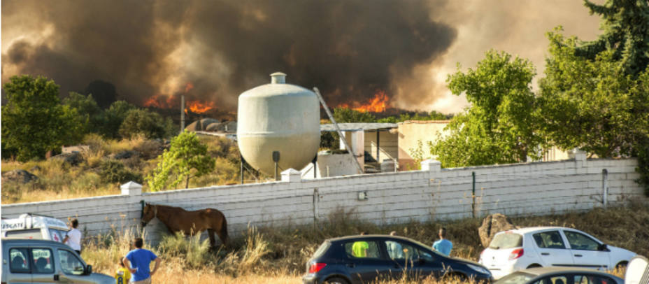 El incendio de Cáceres ha asolado más de mil hectáreas de pastos. EFE