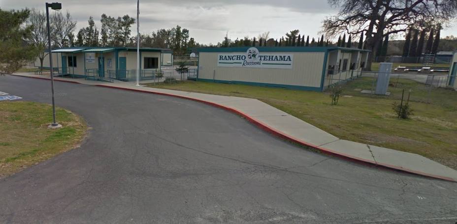 Lugar cercano a donde se ha producido el tiroteo en Rancho Tehama, California. Google Maps