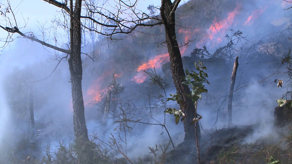 Una zona de la sierra Alcomba, en los Ramales de la Victoria, Cantabria, afectada por el fuego.