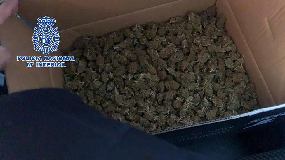 Detienen en Almería a dos hombres por enviar marihuana a Bélgica a través de una empresa de paquetería