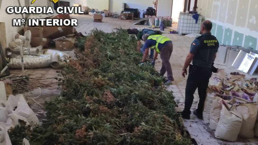Casi 4.300 plantas de marihuana incautadas desde julio en actuaciones de la Guardia Civil en la provincia