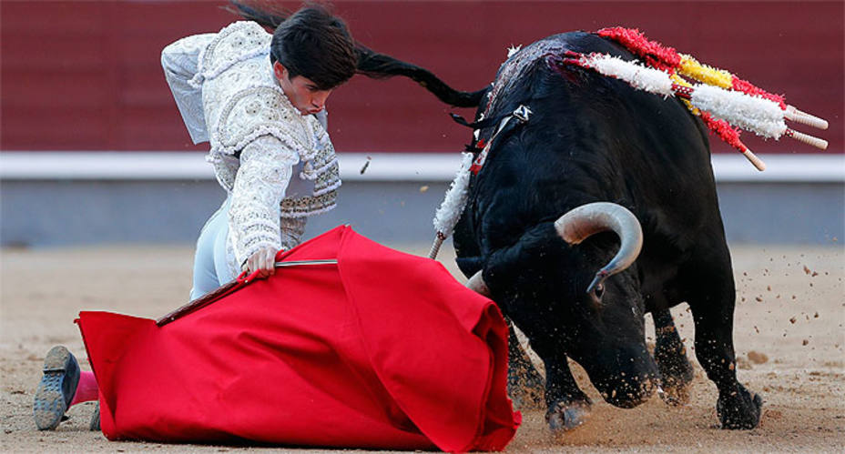 José Garrido durante el inicio de faena de rodillas al toro de su confirmación de alterantiva. EFE