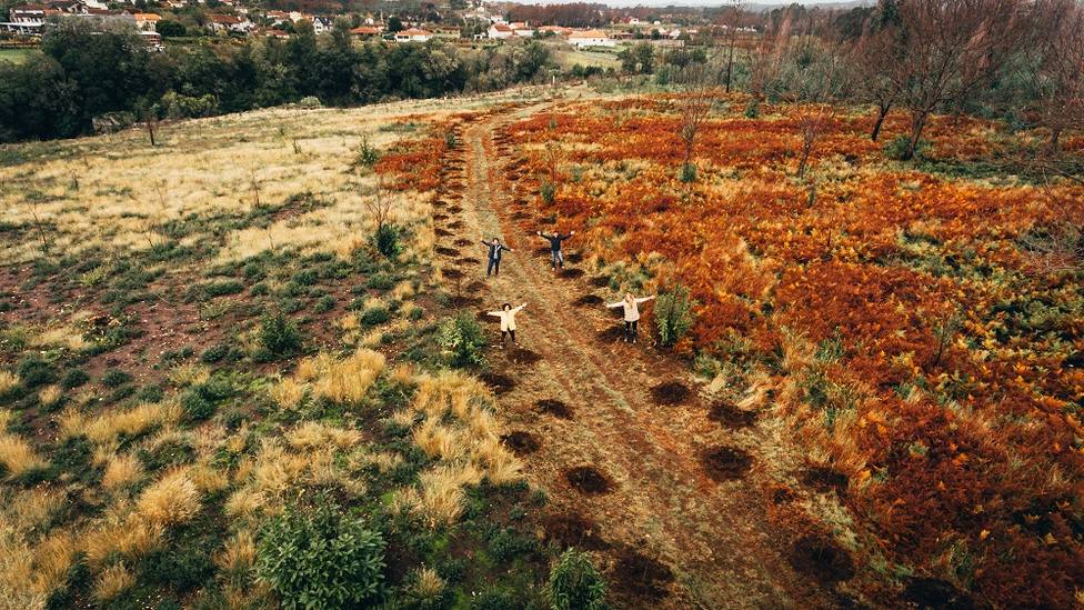 One Oak combate la contaminación con la reforestación en España