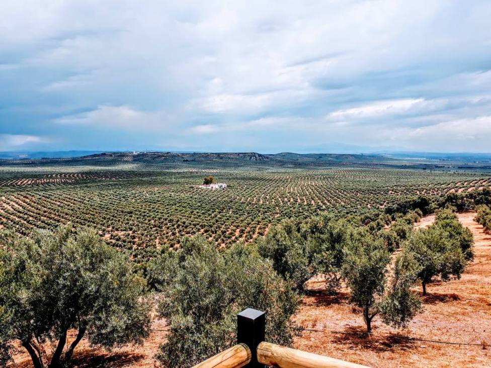La presentación de la campaña de la PAC 2020 finaliza el próximo 15 de junio en La Rioja