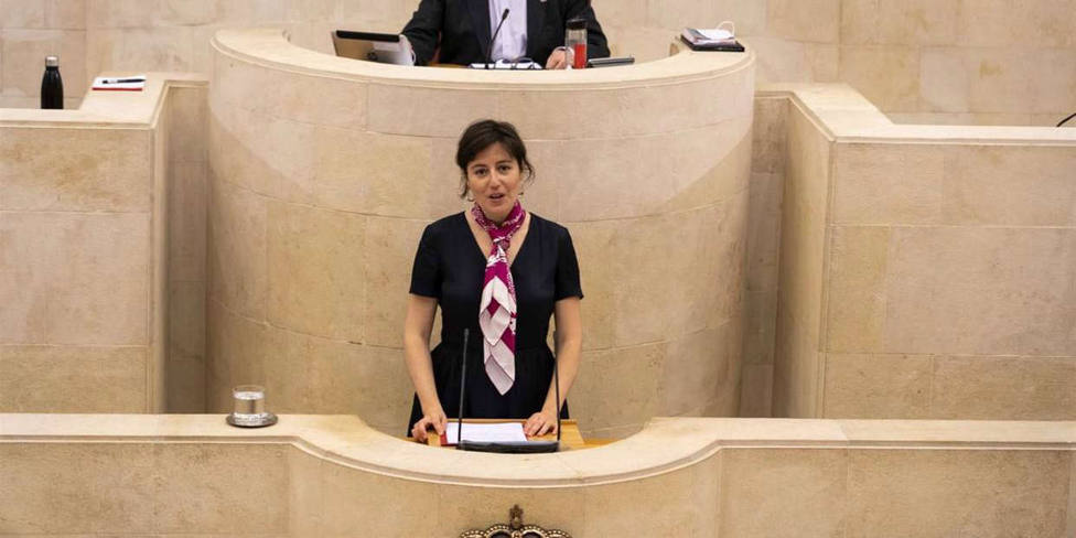 EL PP insta la comparecencia en el Parlamento de la directora de Salud PÃºblica