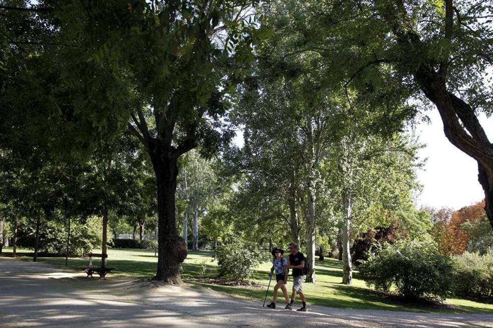 El Parque del Oeste de Madrid donde se produjo la agresión sexual a la joven de 16 años