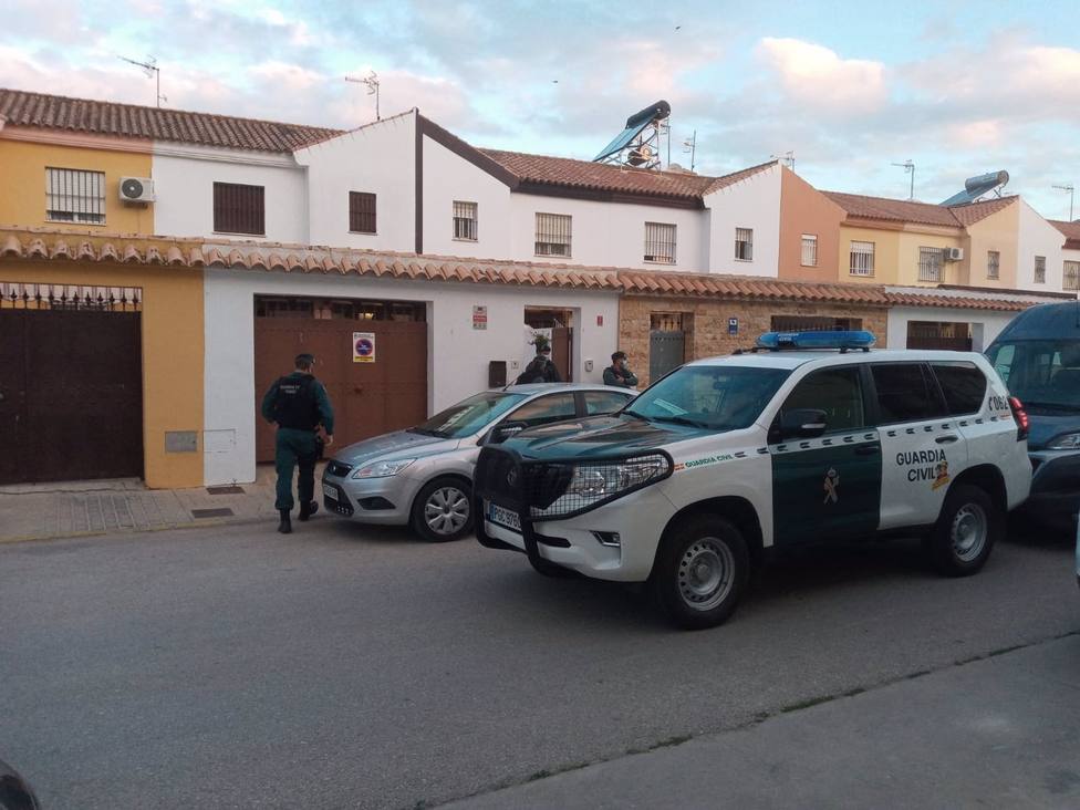 Seis detenidos por plantación y tráfico de marihuana en La Algaida