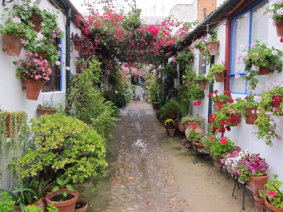 Los patios de Córdoba reciben más de 19.000 visitas en la primera jornada del concurso en su centenario