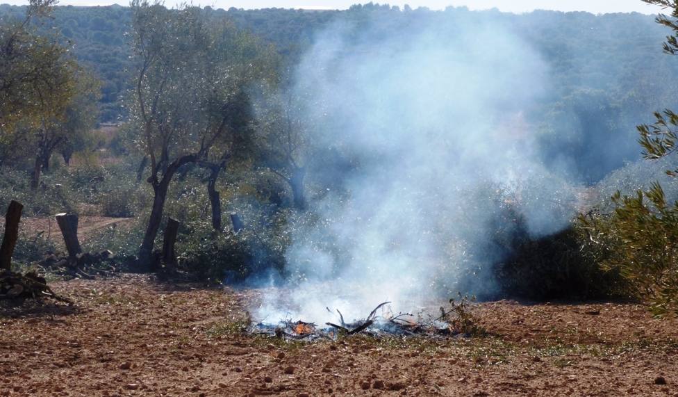 Asaja Castilla-La Mancha pide a la Junta que permita a los agricultores quemar ya sus restos agrícolas