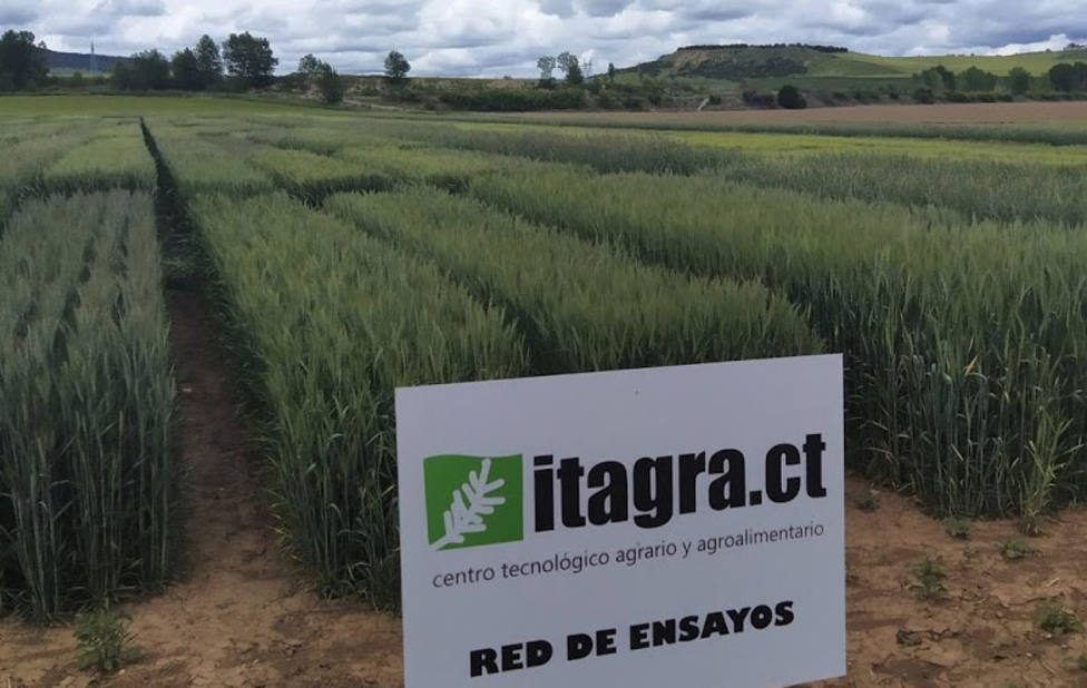 Diputación e Itagra aspiran a convertir la provincia de Palencia en un referente en el ámbito agroalimentario