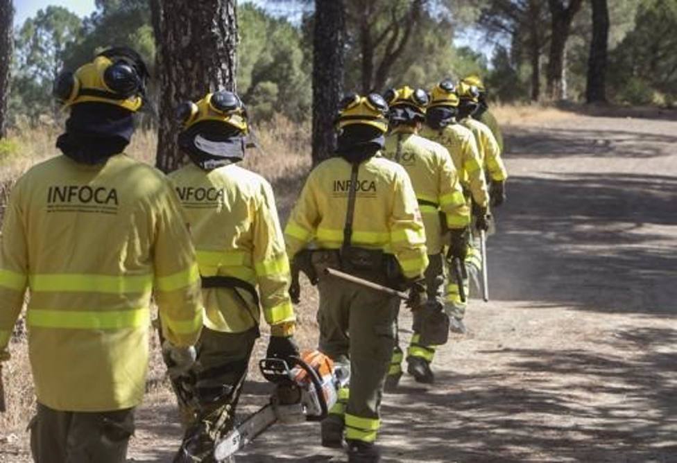 Efectivos del Infoca trabajan en un incendio forestal en Casabermeja