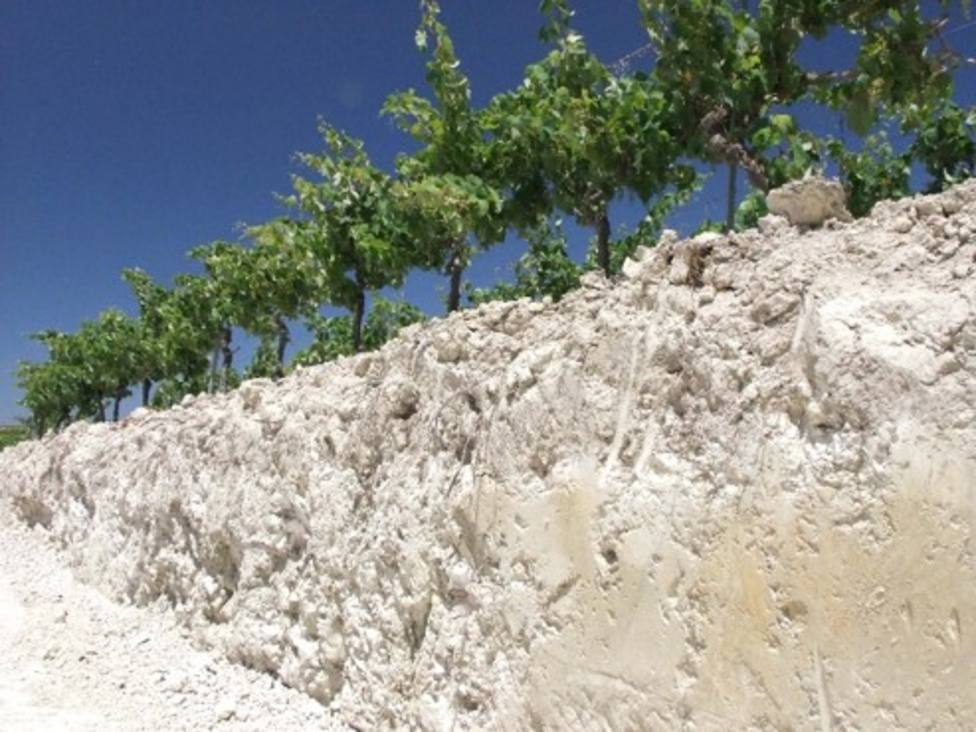 ¿Sabes por qué se usa yeso en la producción de los vinos de Jerez?