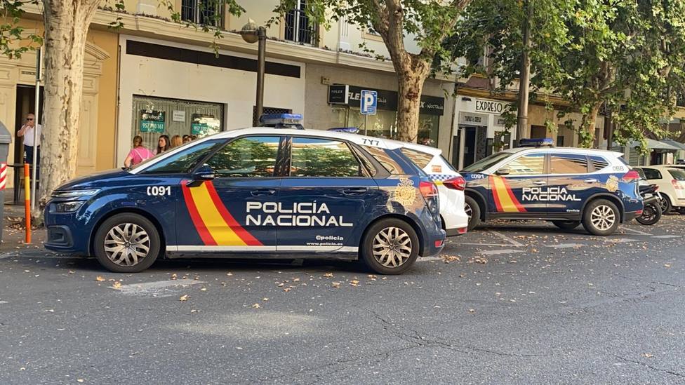 Cinco detenidos por la presunta comisión de varios delitos contra el patrimonio en Córdoba