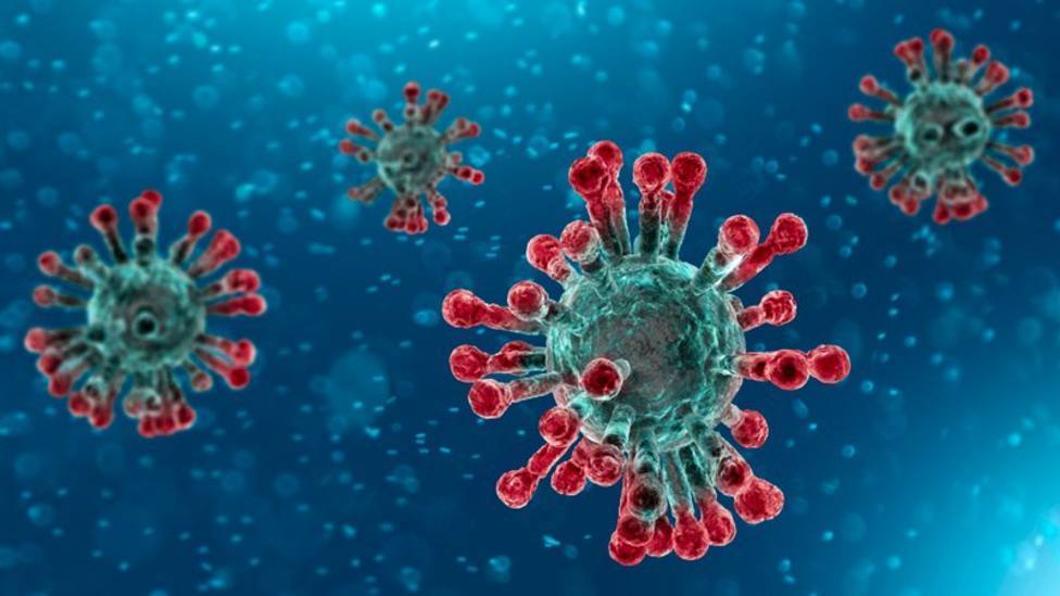 La sanidad vasca alerta de un posible brote de coronavirus originado en un combate de boxeo en Marbella