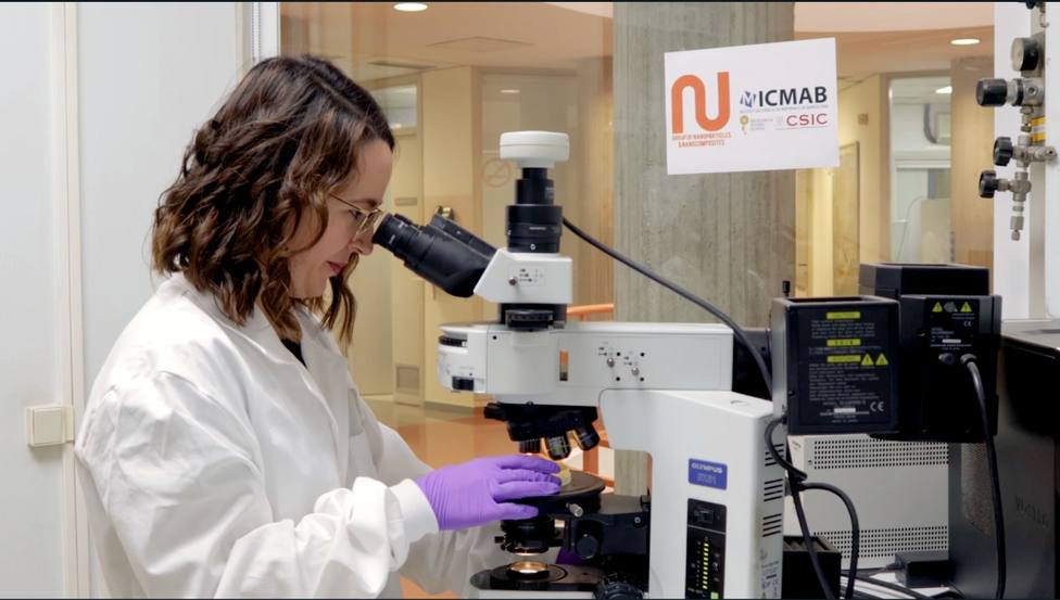 Amanda Muñoz con el microscopio mirando una placa de gusanos C. elegans