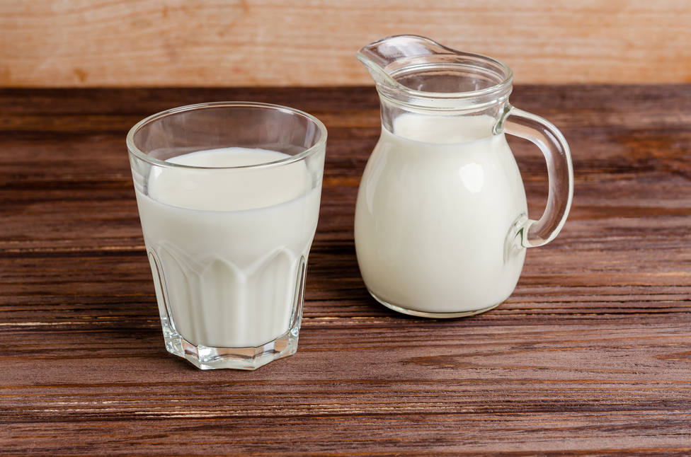 ¿Cuánta leche debo tomar al día?