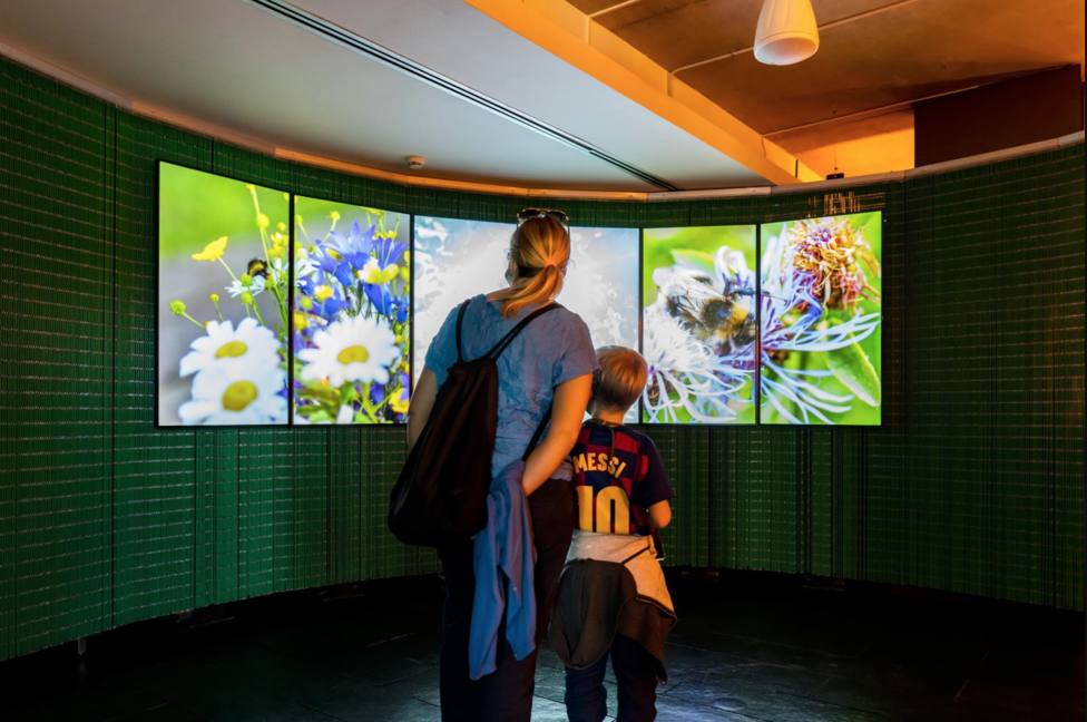 El Museu de Ciències Naturals de Barcelona inaugura una exposición sobre el papel de las abejas. - PERE VIVAS