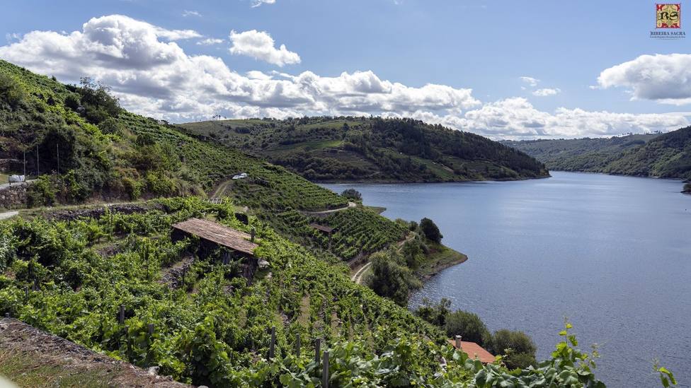 El Museo do Viño muestra al visitante como es la viticultora heroica que se practica en la comarca