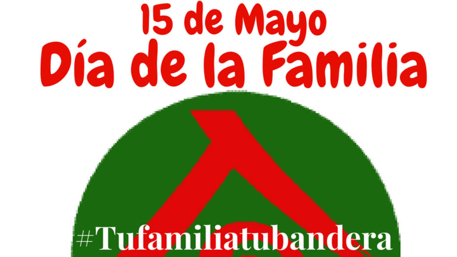 El Foro de la Familia pide a los ciudadanos que reclamen que la bandera de la familia ondee en las instituciones el 15 de mayo