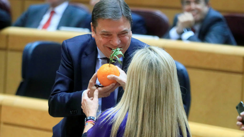 El ministro Luis Planas recibe una naranja de manos de la senadora del PP Marta Torrado