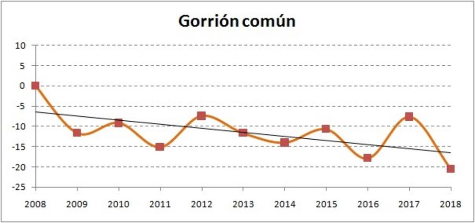 La población de gorriones ha sufrido un declive alarmante del 21% en los últimos 10 años en España