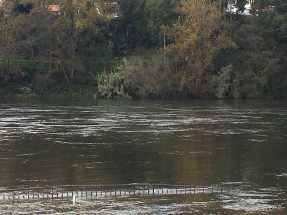 Estado del río Miño a su paso por la ciudad de Ourense